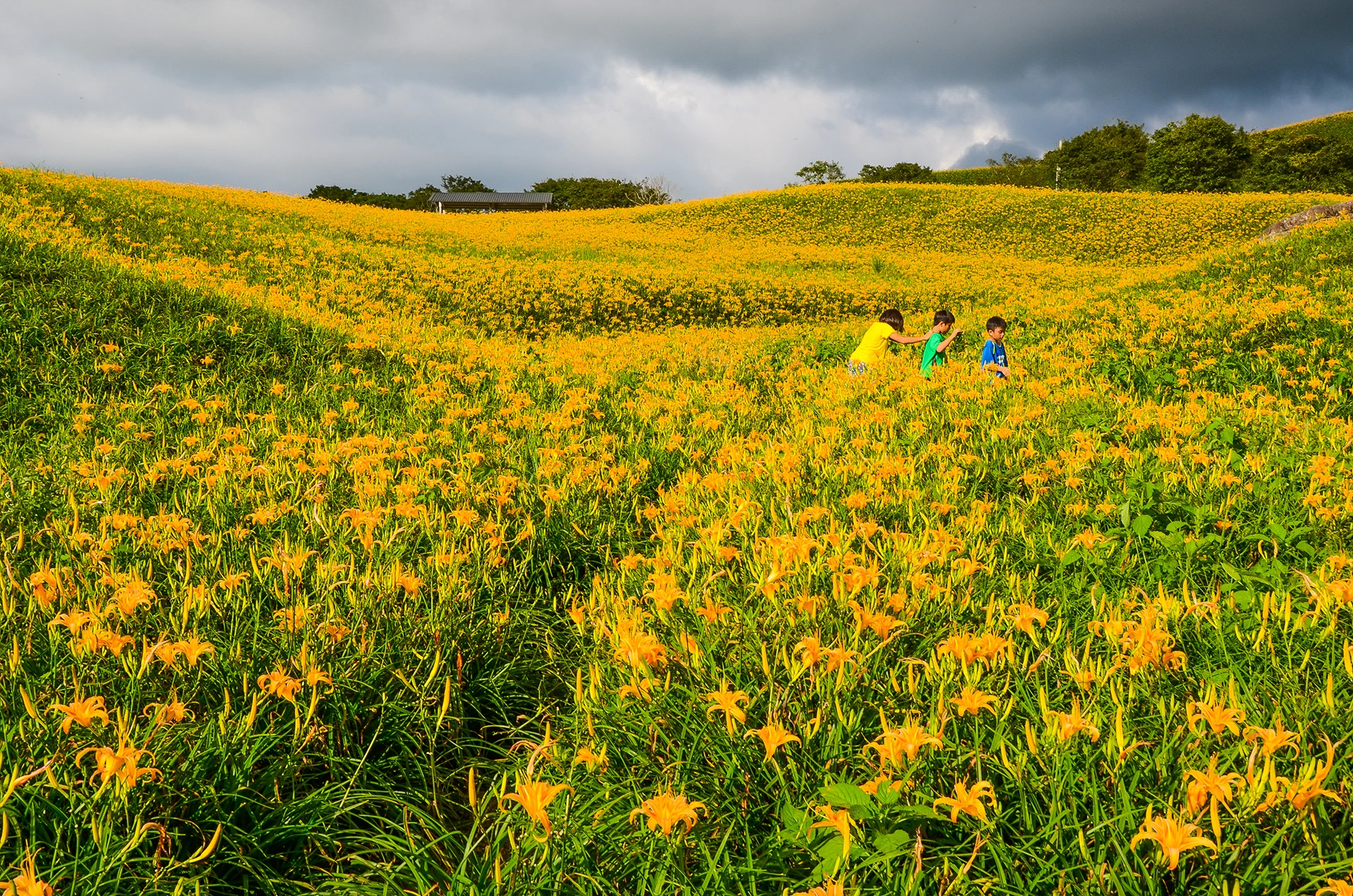 渡假飯店景觀01